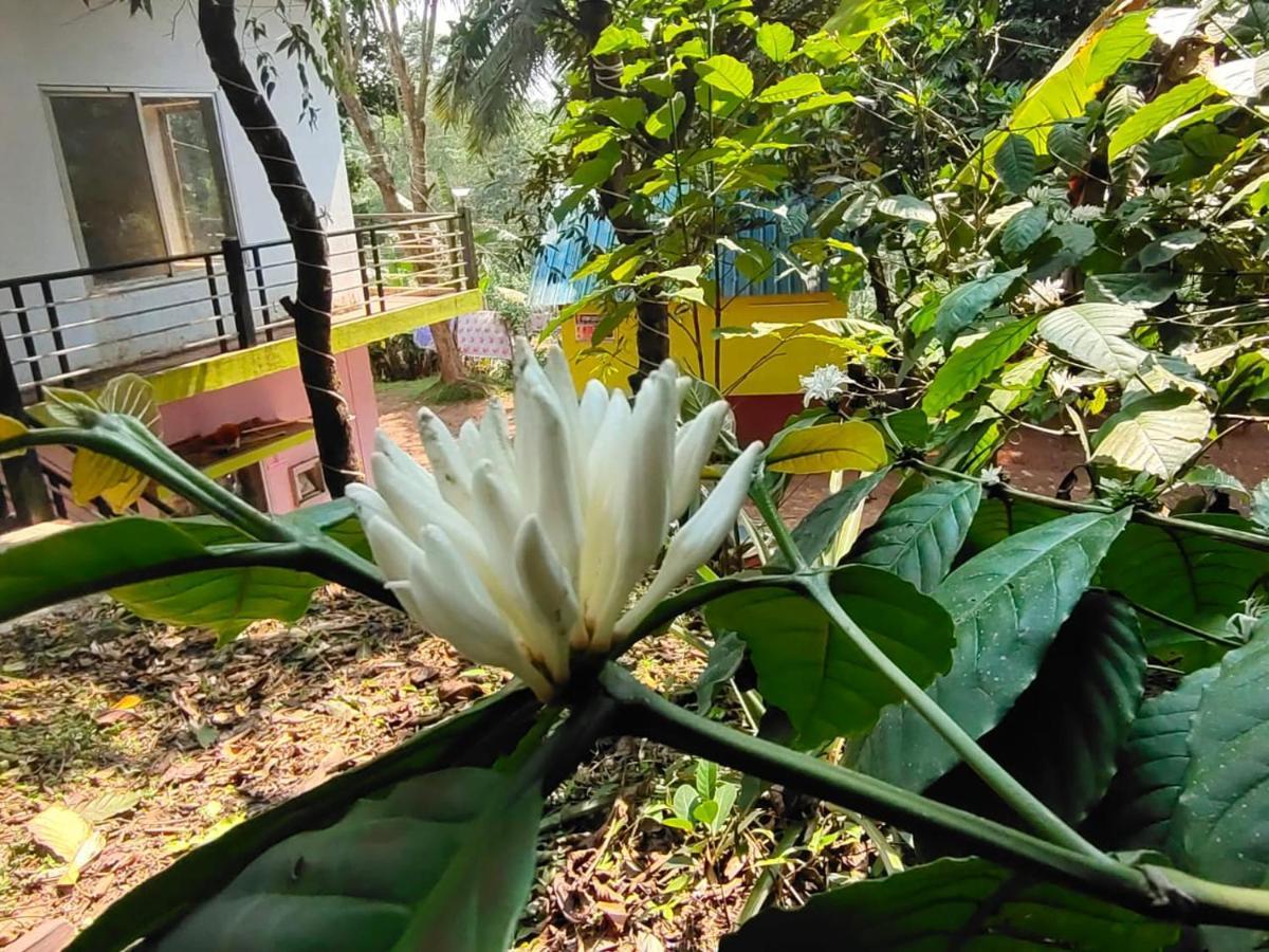 Green Land Estate Homestay 5 Rooms With Garden View ماديكيري المظهر الخارجي الصورة