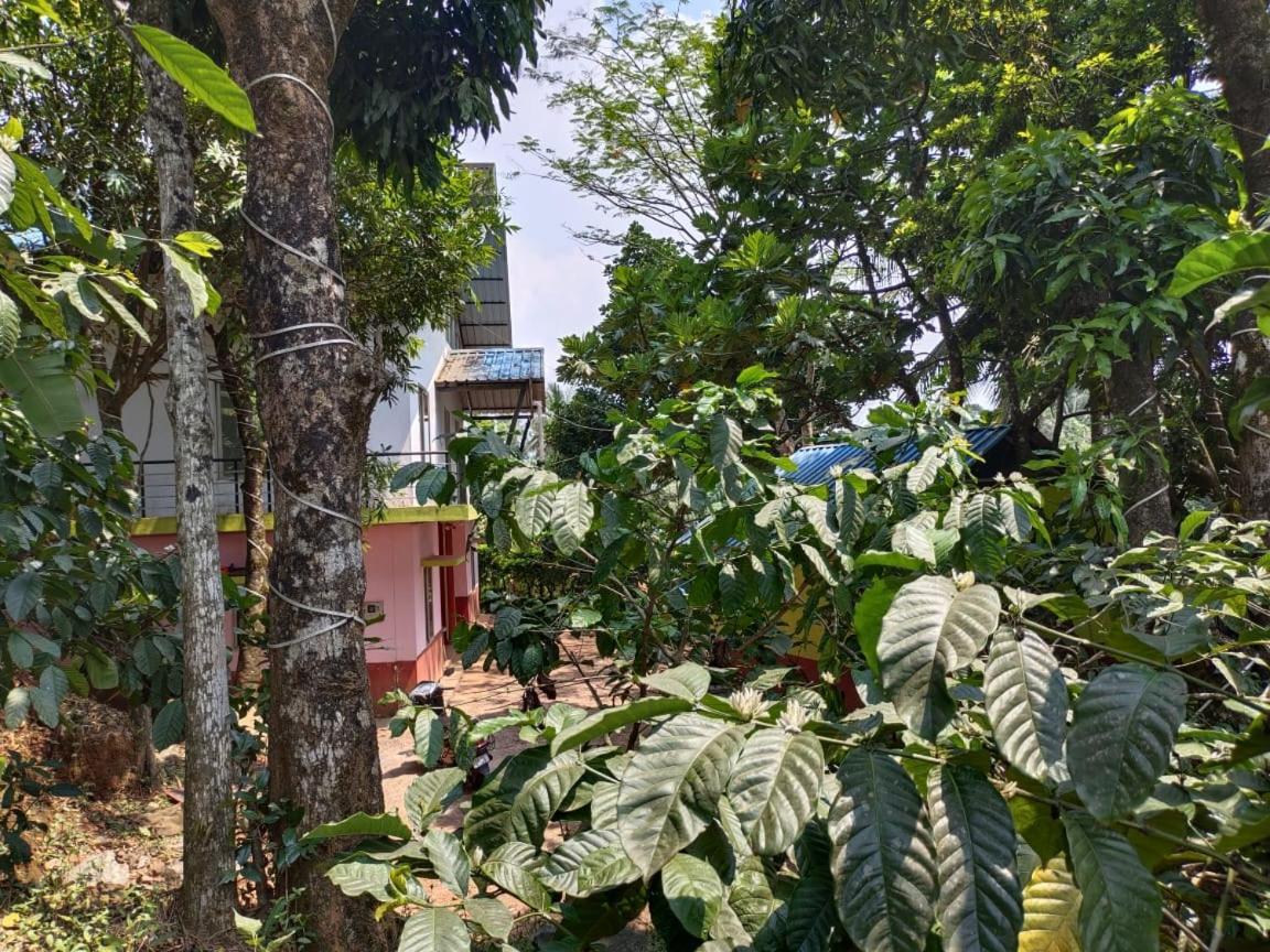 Green Land Estate Homestay 5 Rooms With Garden View ماديكيري المظهر الخارجي الصورة